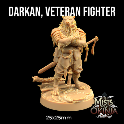 Darkan, luchador veterano - The Mists of Okinja