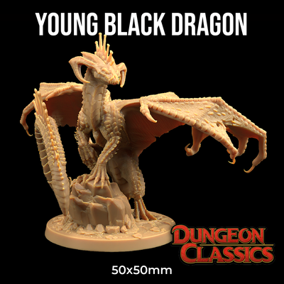 Dragon Negro Joven - Dungeon Classic