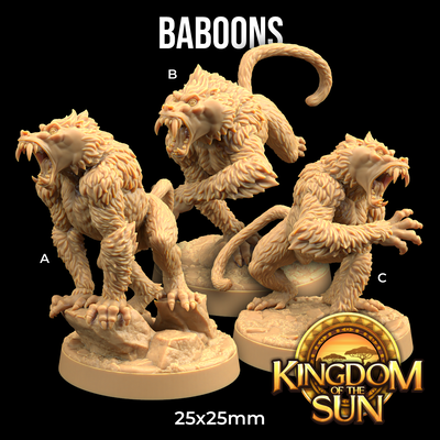 Babuinos - Kingdom of the Sun