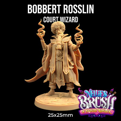 Bobbert Rosslin Court Wizard - Nellie's Brush of Infinite Wonder