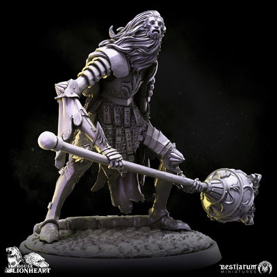 Lion Mask Knight - House Lionheart - Bestiarum