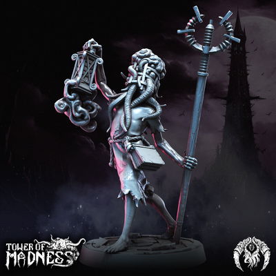 Arcane Attendants - Tower of Madness - Bestiarum
