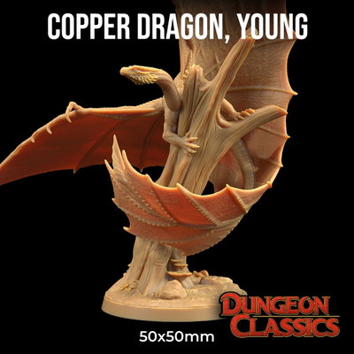 Dragón de Cobre Joven - Dungeon Classic