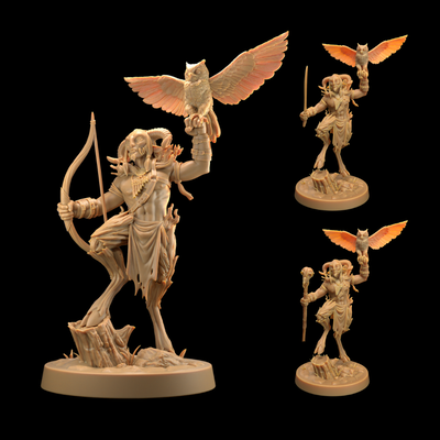 Dark Stalker - The Darkwoods