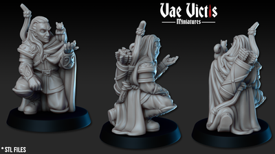 Ranger Elfo - Vae Victis