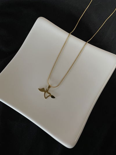 Collar Taurus