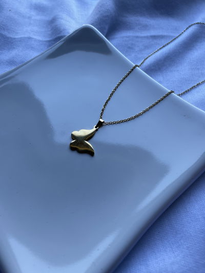 Collar Alaska Gold