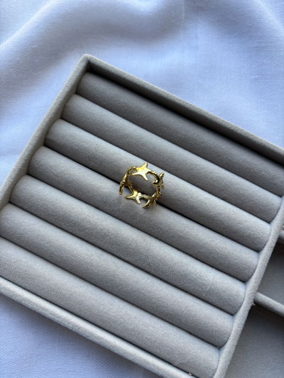 Anillo Estrella 