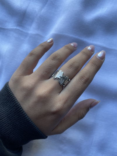 Anillo Merlin