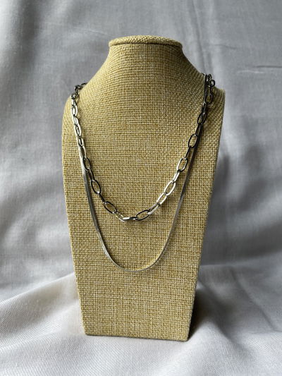 Collar Wren