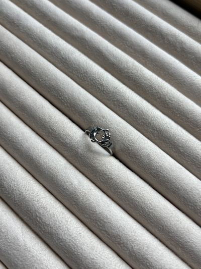 Anillo Roll Plateado