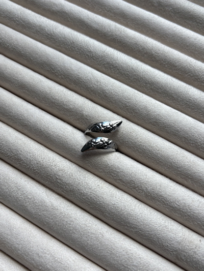 Anillo Terra Plateado