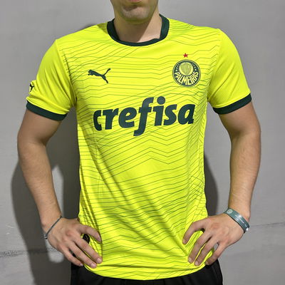 Camiseta alternativa Palmeiras