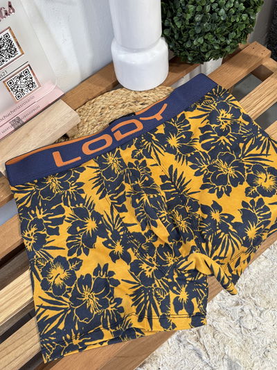 Boxer lody 