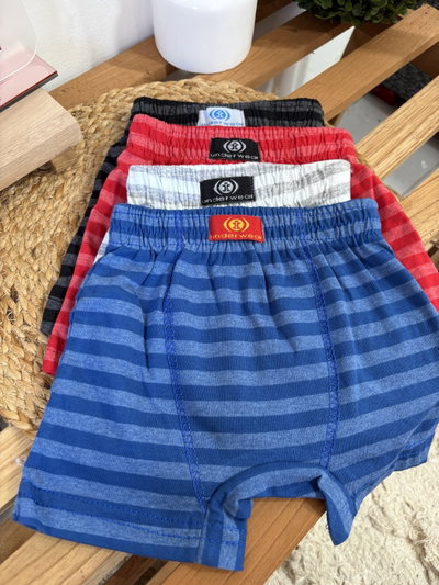 Boxer kids 