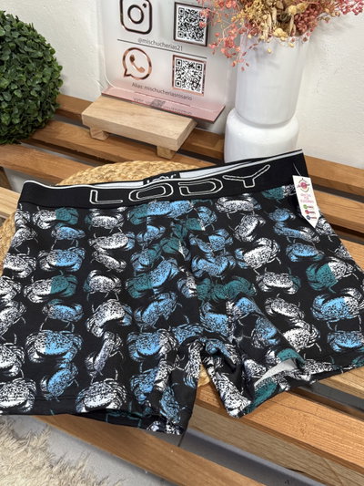 Boxer lody 
