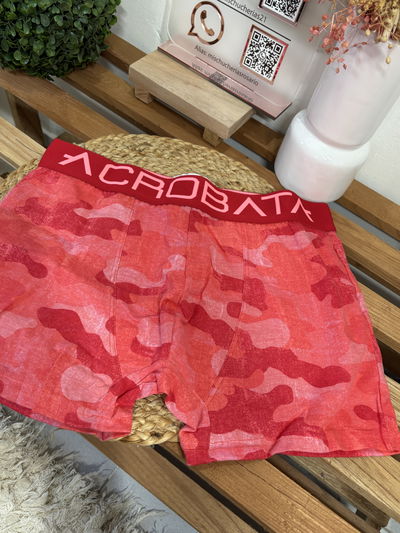 Boxer acrobata 