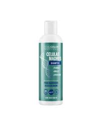SHAMPOO CELULAS MADRES X300ML FITHOPLASMA