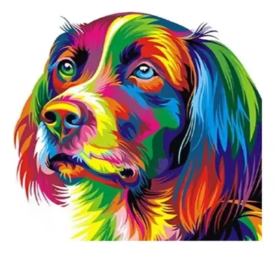 Pintura en Diamante Perro colorido 20x30