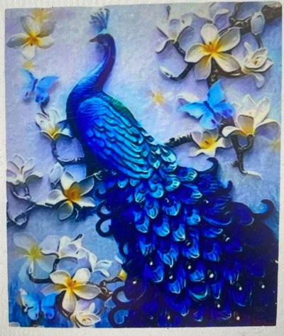Pavo real  40x50