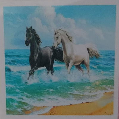 Caballos 30x30
