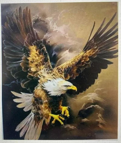 Aguila 40x50