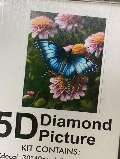 Mariposa 40x30