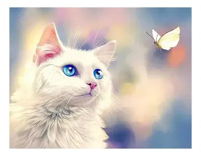 Gato blanco 40x50