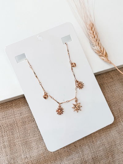 Collar Spings Charms