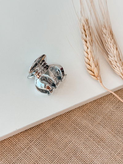 Broche Haley