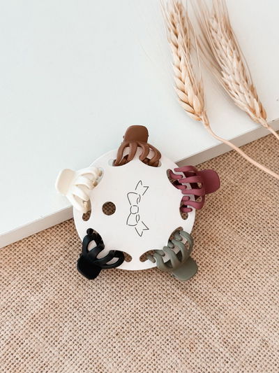 Broche Nicol (individual)