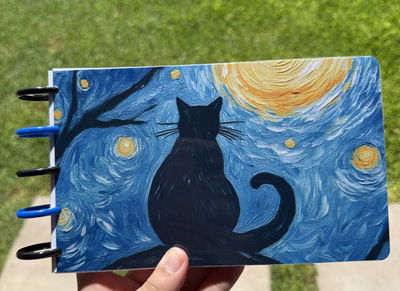 Fichero N3 Van Gogh Cat