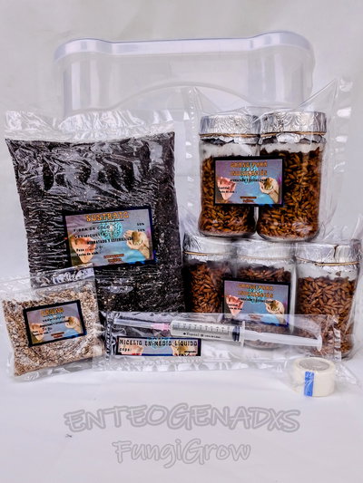 KIT POWER (COMPLETO)