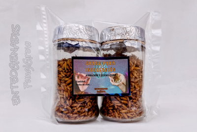 GRANO PARA INOCULAR X 2 