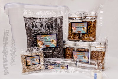 KIT INICIAL (COMPLETO)