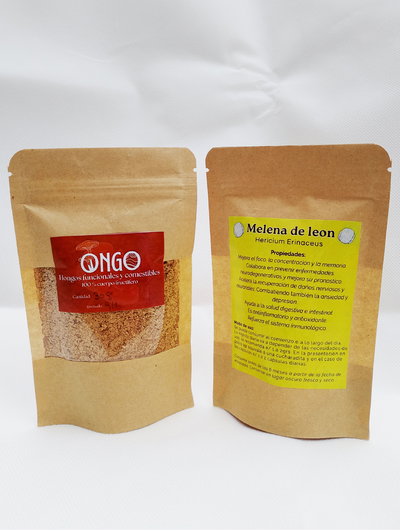 MELENA DE LEON (HERICIUM ERINACEUS) - EXTRACTO EN POLVO x 30g