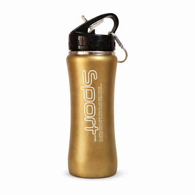 BOTELLA DEPORTIVA CROMADA 500ml