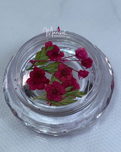 Flores secas grandes