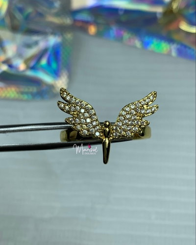 Anillo para fotos alas 