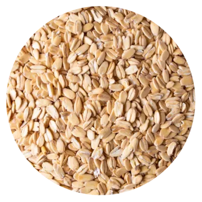 INDUSTRIAS DE AVENA-AVENA GRUESA (1 KG)