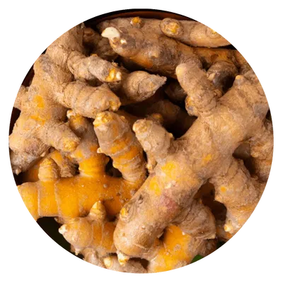 CURCUMA RAIZ FRESCA (1 KG)