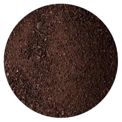 PIMIENTA NEGRA BARRIDO (1 KG)
