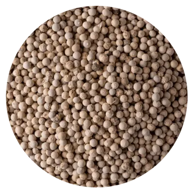 PIMIENTA BLANCA GRANO (1 KG)