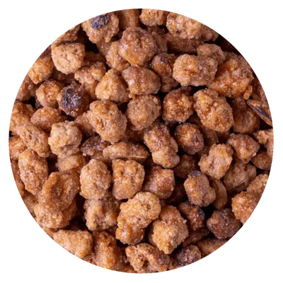 GARRAPIÑADA MANI ( 1 KG)
