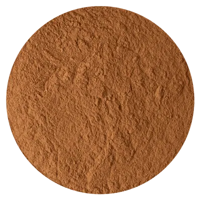 CANELA MOLIDA VIETNAM (1 KG)
