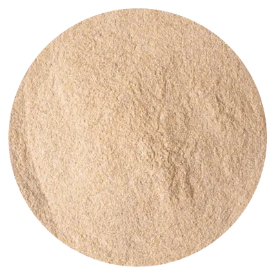 AJO POLVO (1 KG)