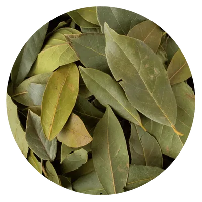 LAUREL HOJA ENTERA (1 KG)