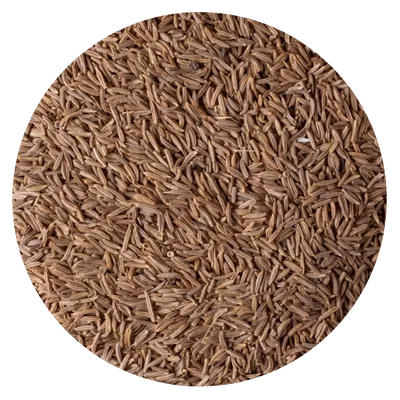 KUMMEL (1 KG)