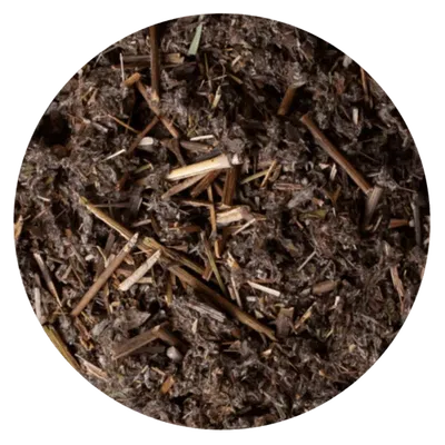 HIERBA MATICO (1 KG)