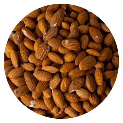 ALMENDRA NON PAREIL TIPO